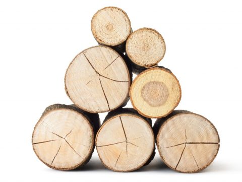 Kaminholz Buche 33 cm – 750 Liter im Sack