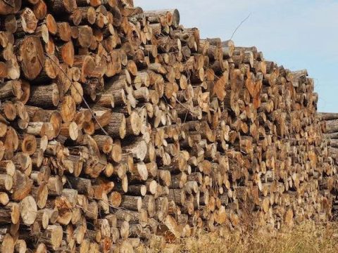 Kaminholz Eiche & Buche 30/33 cm – 30 RM