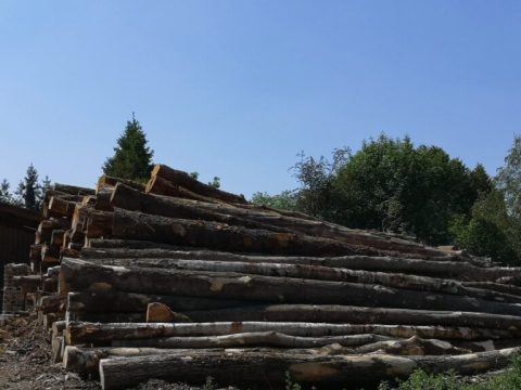 Kaminholz Eiche & Buche 30/33 cm – 20 RM