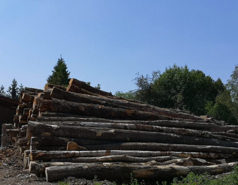 Kaminholz Eiche & Buche 30/33 cm – 20 RM