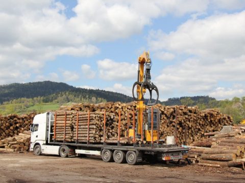 Kaminholz Buche 30/33 cm – 60 RM