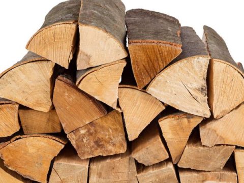 Anzündholz im Netzsack Woodstock
